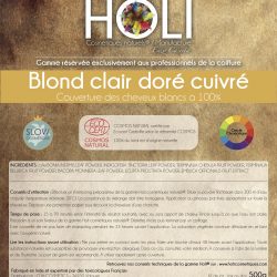 Coloration végétale professionnelle Blond clair doré cuivré ** – Holi Cosmétiques naturels®