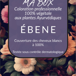 Box coloration végétale Ébene Double Application