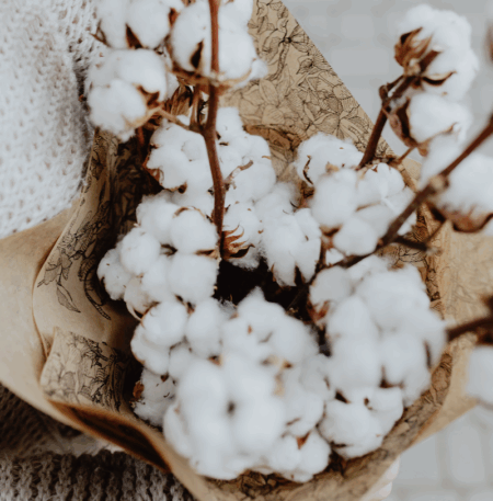 Parfum de Linge  Fleurs de Coton