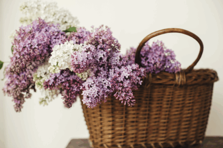 Parfum de Linge Lilas
